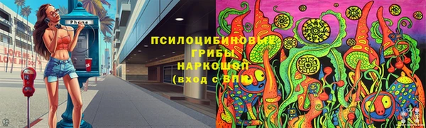 соль ск Алексеевка